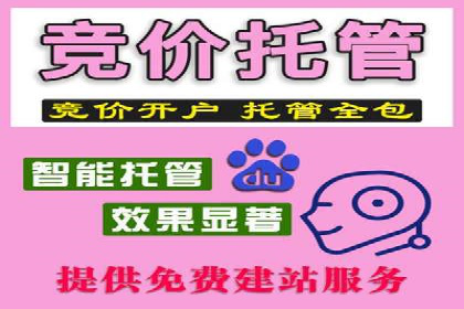 百度推广代运营公司成功案例：精准投放广告的秘诀